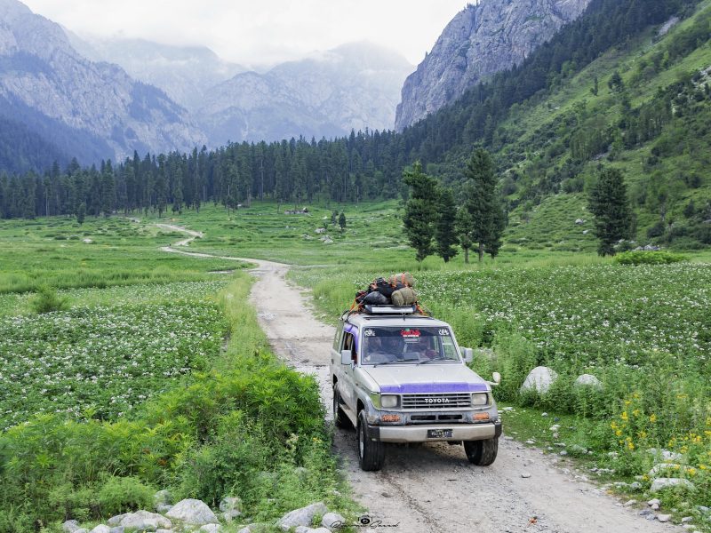 dilshad3-jeep-3612162_1920